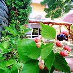 Szeplak 3* Siófok
