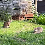 Pensión Széplak Siófok