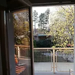 Szeplak Siófok