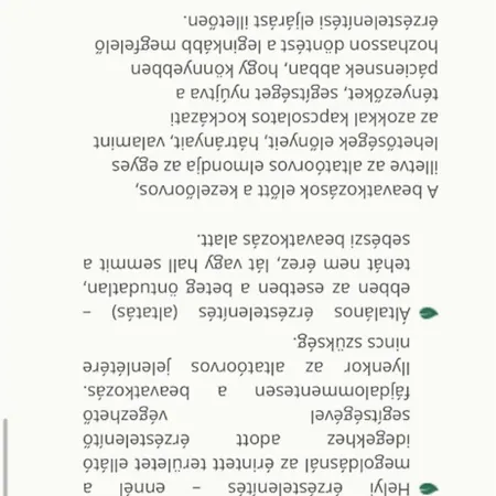בית הארחה Szeplak 3*