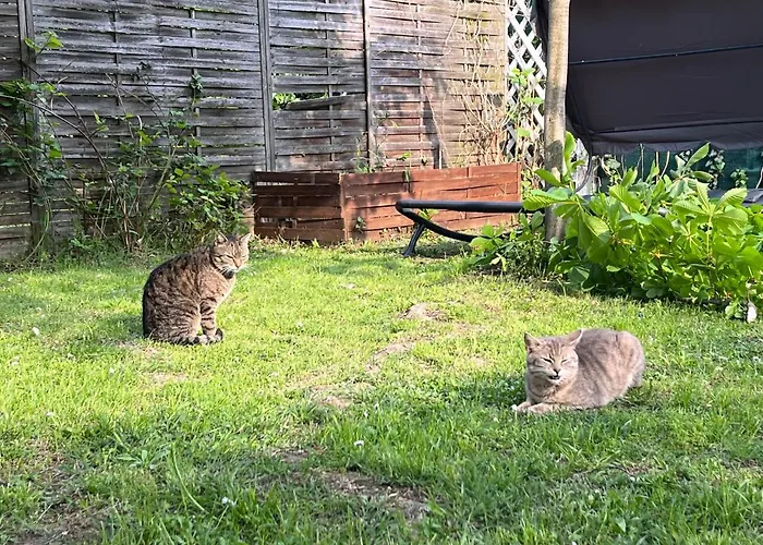 Pensión Széplak Siófok